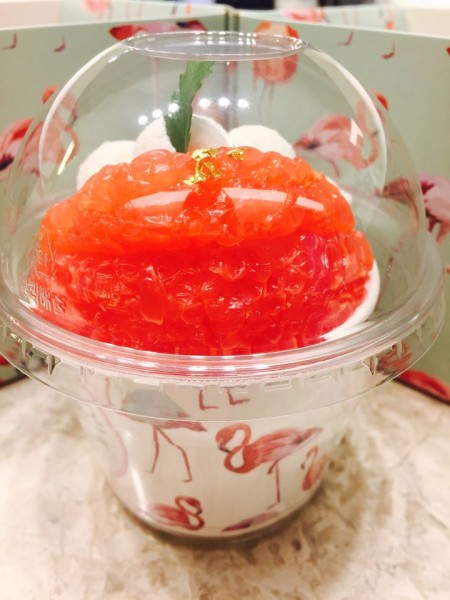 6515a6a8d659e7d4ffa91764496f3967_1454046